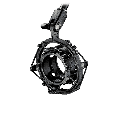 Audio-Technica AT-8484 shockmount