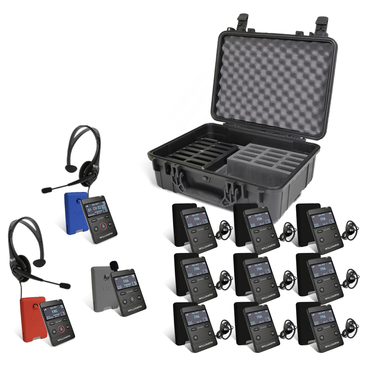 Williams Sound Digi-Wave AIM system